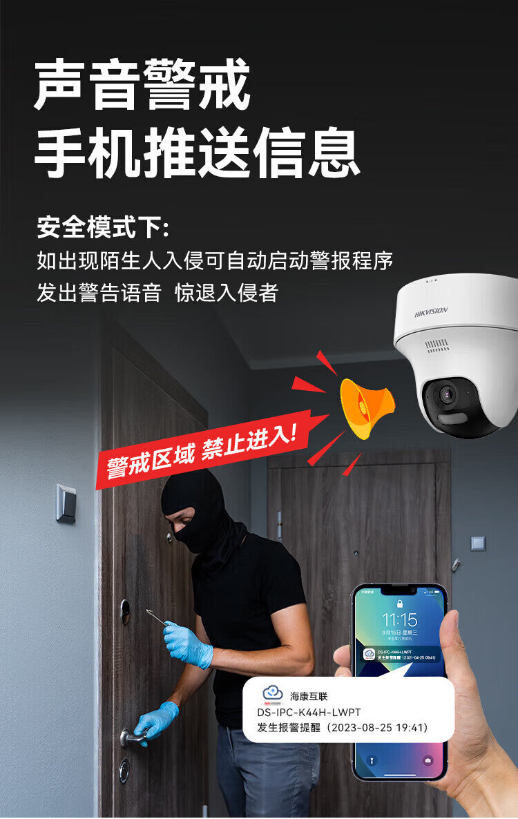 Hikvision (Hikvision) Camera Indoor Wireless Dome Network Camera with Human Detection K